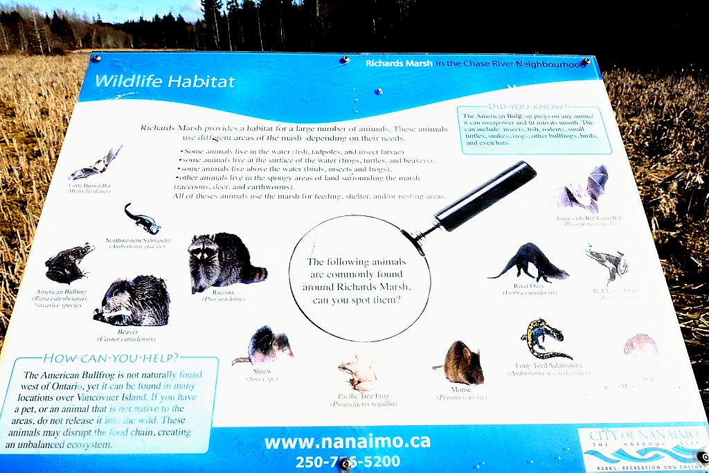 Richards Marsh Park | 1921 Kells Bay, Nanaimo, BC V9X 1H1, Canada | Phone: (250) 756-5200