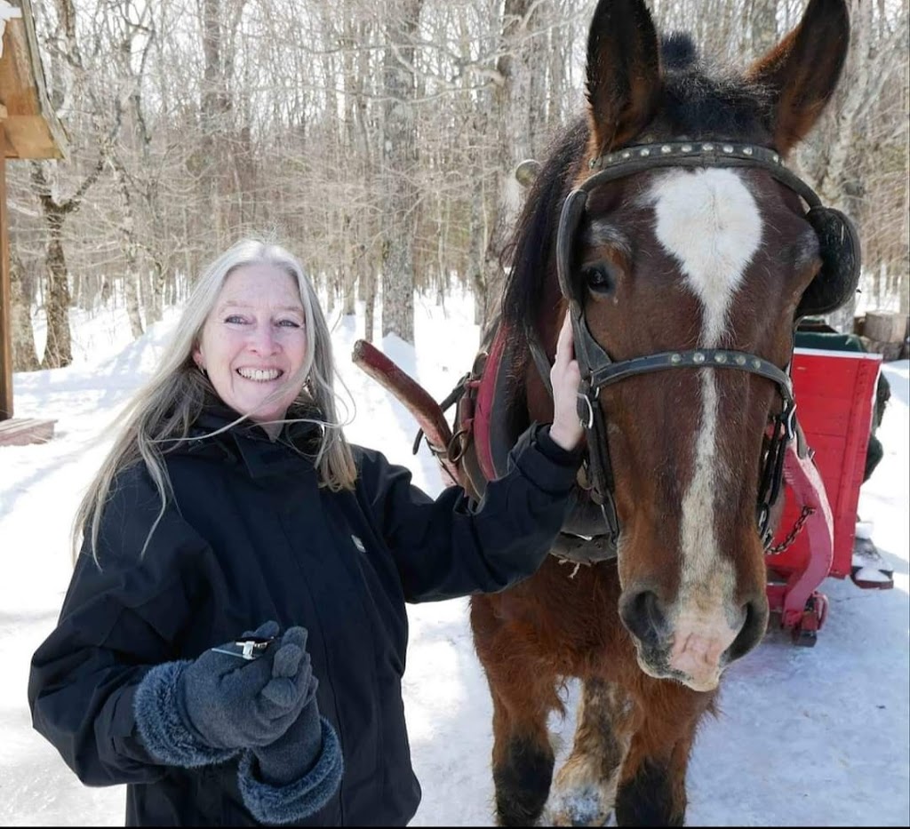 Potts Sleigh Rides | 439 Bonshaw Rd, Bonshaw, PE C0A 1C0, Canada | Phone: (902) 675-2107