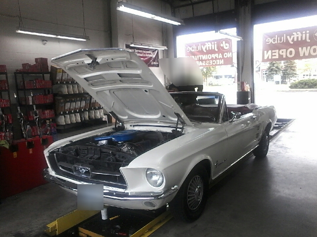 Jiffy Lube | 1095 Ringwell Dr, Newmarket, ON L3Y 8T8, Canada | Phone: (905) 898-1875