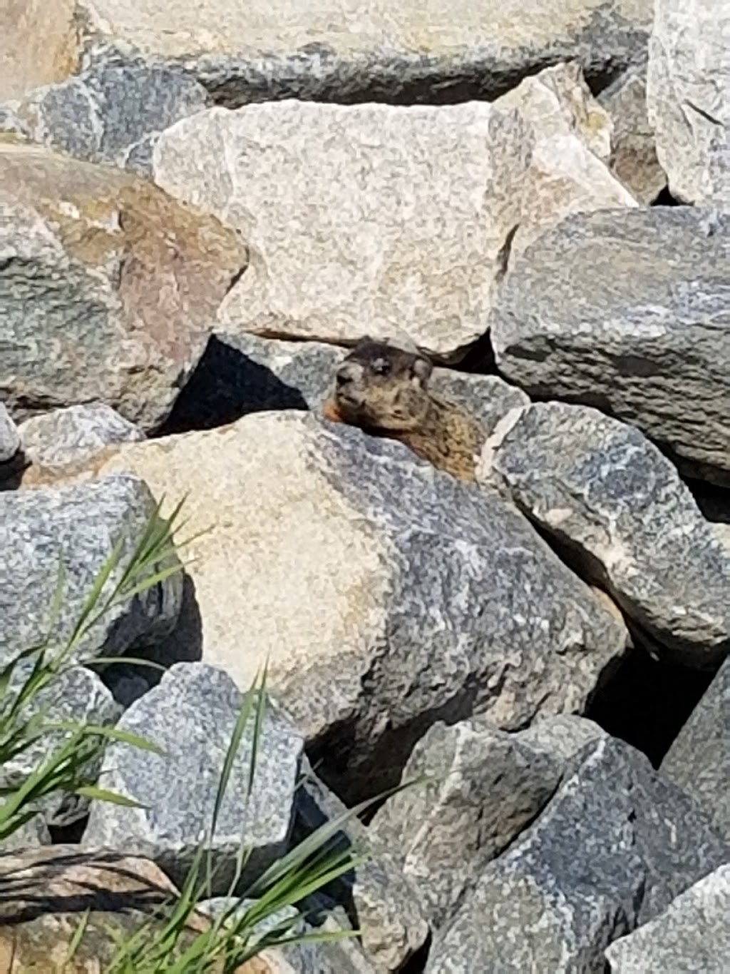 Parc national de Plaisance - Sepaq | 1001 Chemin de la Grande Presquîle, Plaisance, QC J0V 1S0, Canada | Phone: (418) 380-5875