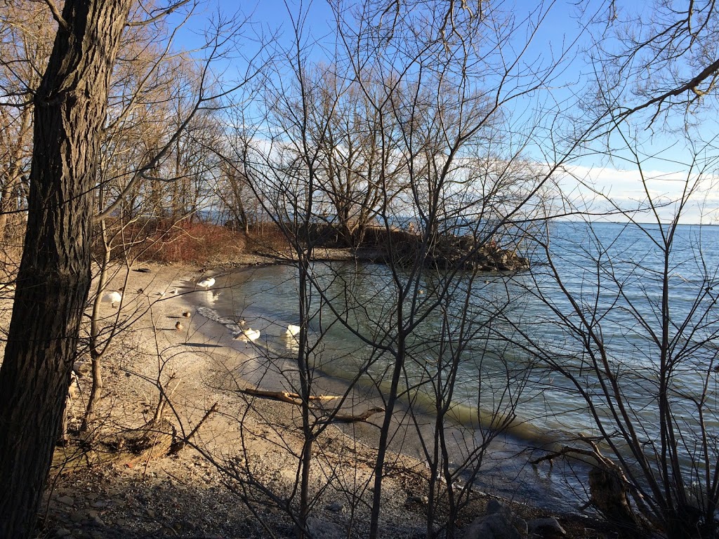 Long Branch Park | 245 Lake Promenade, Etobicoke, ON M8W 1B3, Canada