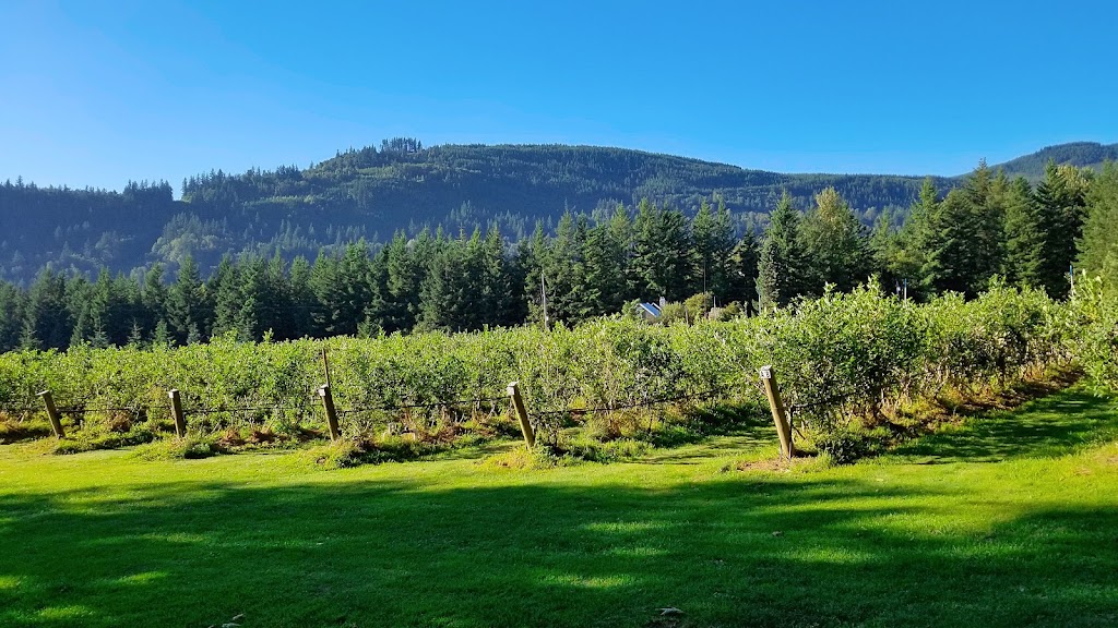 Country’s Edge Blueberry Farm | 200 Columbia Valley Rd, Lindell Beach, BC V2R 4X6, Canada | Phone: (604) 847-0481