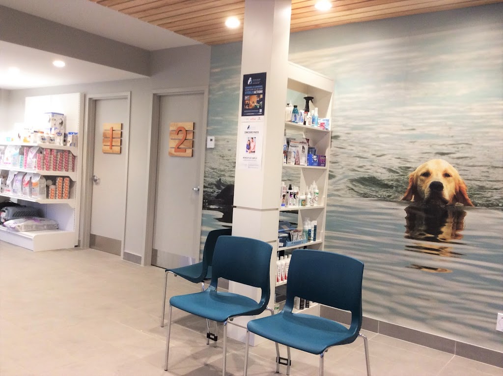Clinique vétérinaire lArche de Noé | 753 Rue Notre Dame, Saint-Rémi, QC J0L 2L0, Canada | Phone: (450) 454-2801