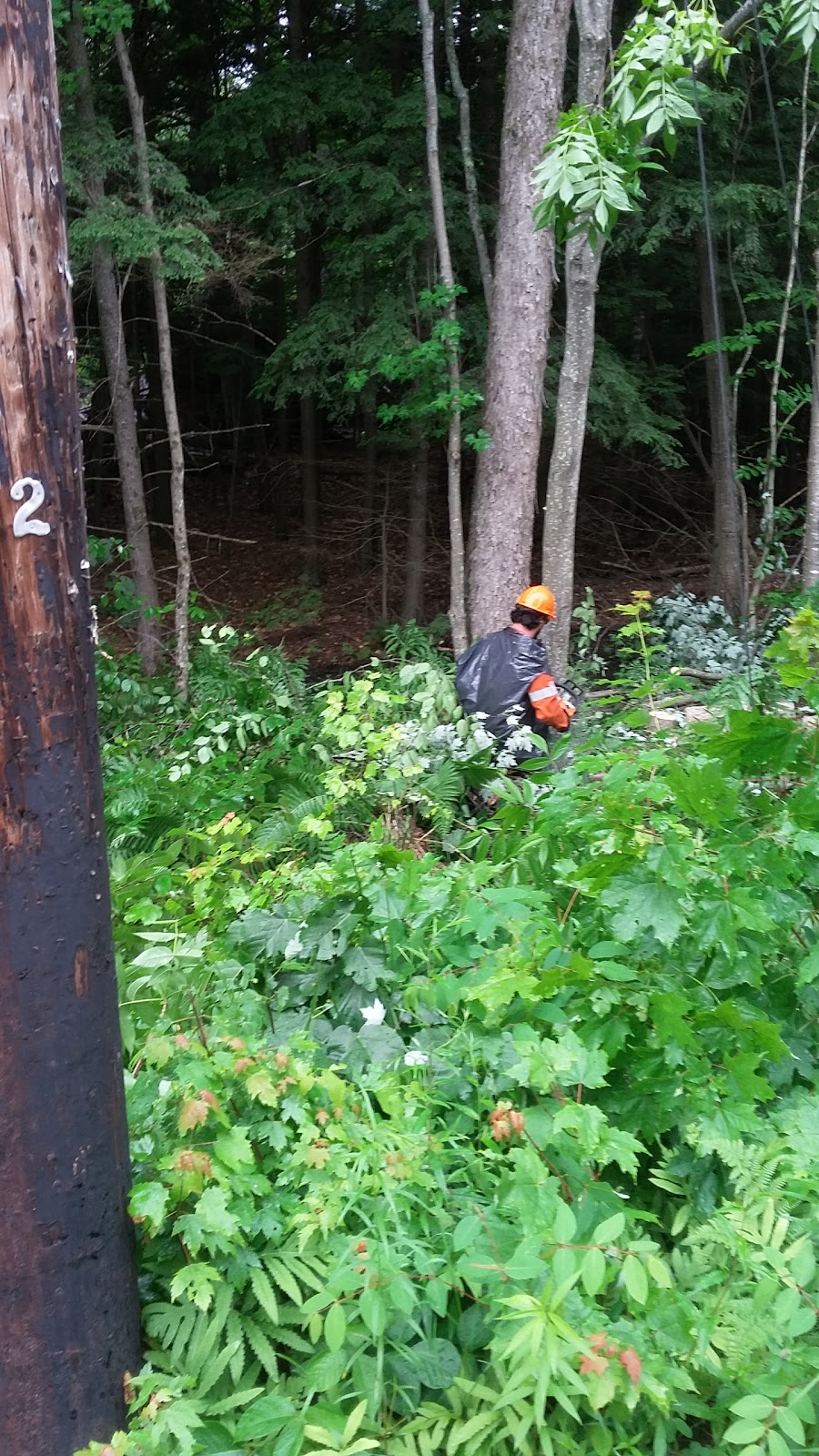 McDermott & Sons Constrn | 1869 Mortimers Point Rd, Port Carling, ON P0B 1J0, Canada | Phone: (705) 765-3212