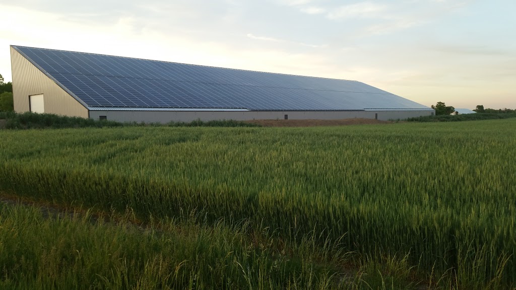 Fred Toews Electric | 42507 Kirkton Rd, Kirkton, ON N0K 1K0, Canada | Phone: (226) 316-0331