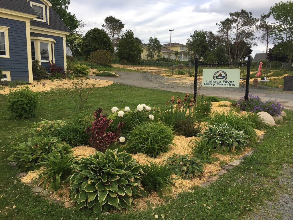 Lahave River Berry Farm Inc. | 5216 NS-332, Middle LaHave, NS B4V 3L9, Canada | Phone: (902) 766-4534