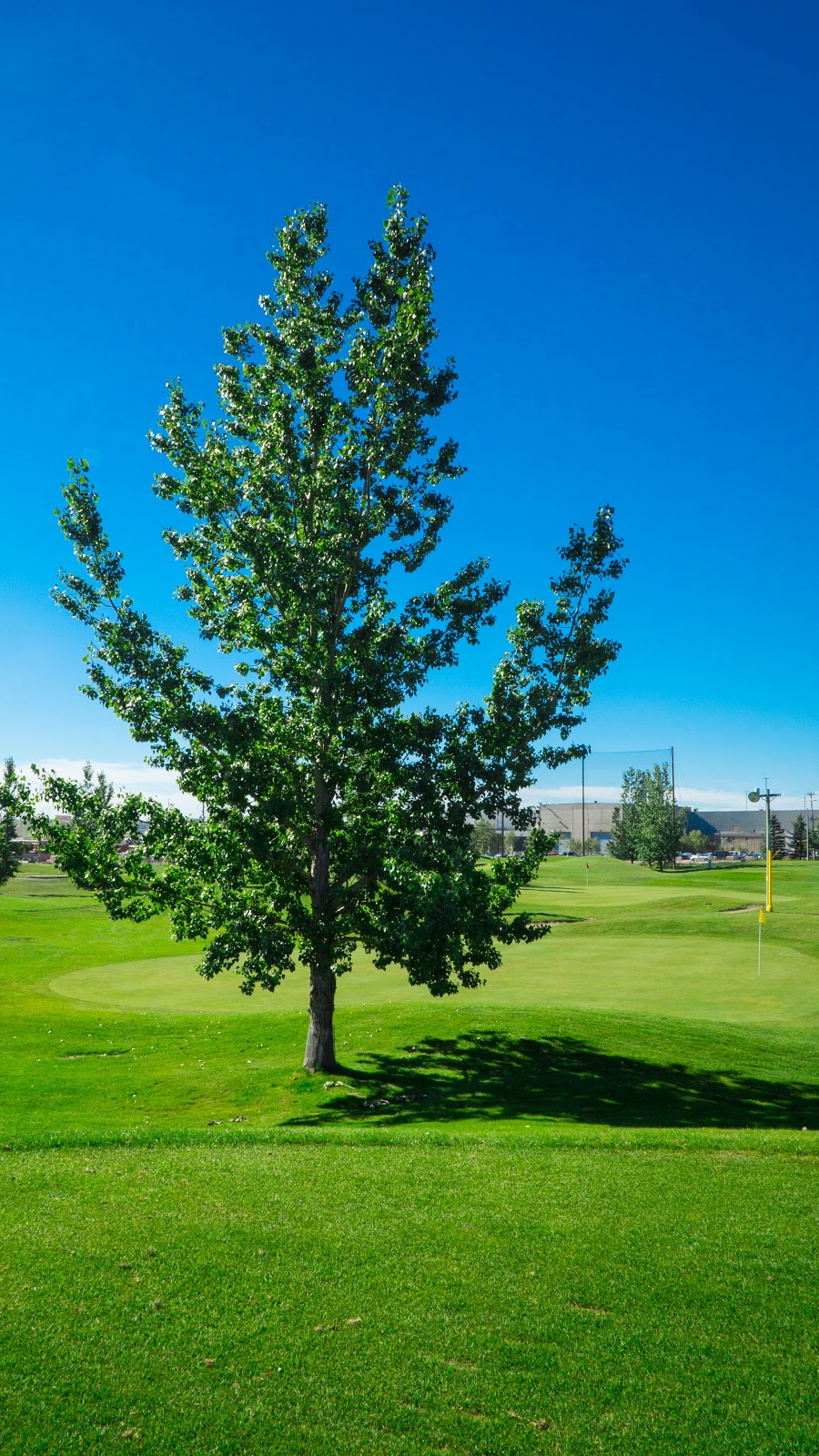 Golf Canada Calgary Centre | 7100 15 St SE, Calgary, AB T2H 2Z8, Canada | Phone: (403) 640-3555