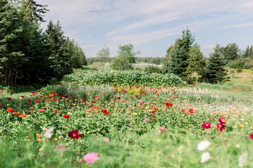 Morning Dew Gardens | 139 Jewell Rd, Cornwall, PE C0A 1H9, Canada | Phone: (902) 213-2624