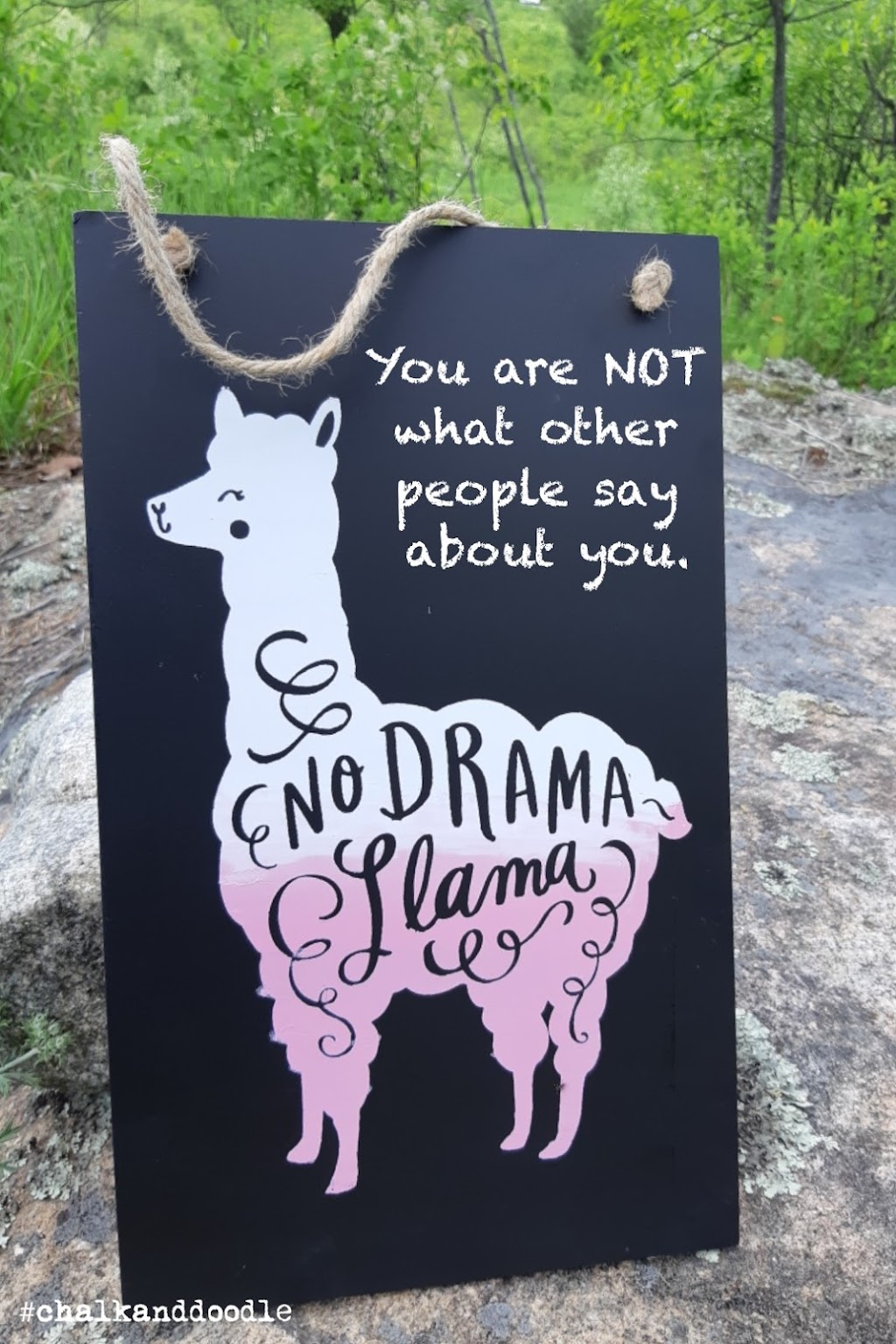 Chalk & Doodle | 1060 Gainforth Rd, Haliburton, ON K0M 1S0, Canada | Phone: (705) 321-1719