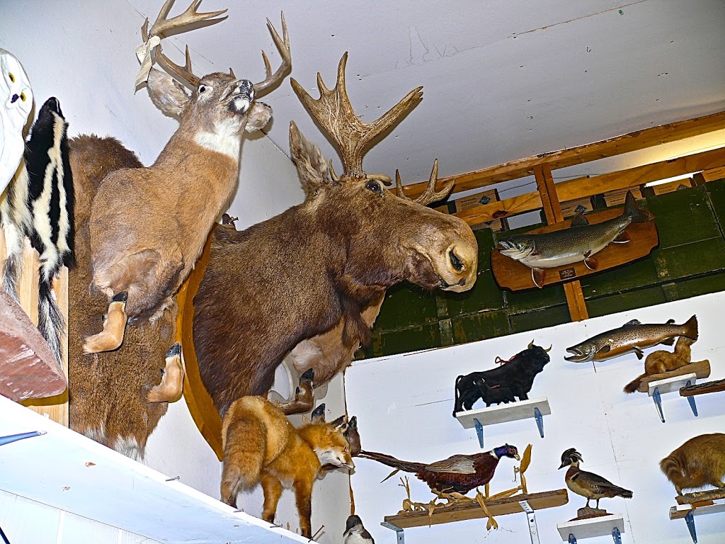 Evansville Trading Post & True Value | 645 Evansville Rd, Brownington, VT 05860, USA | Phone: (802) 754-6305