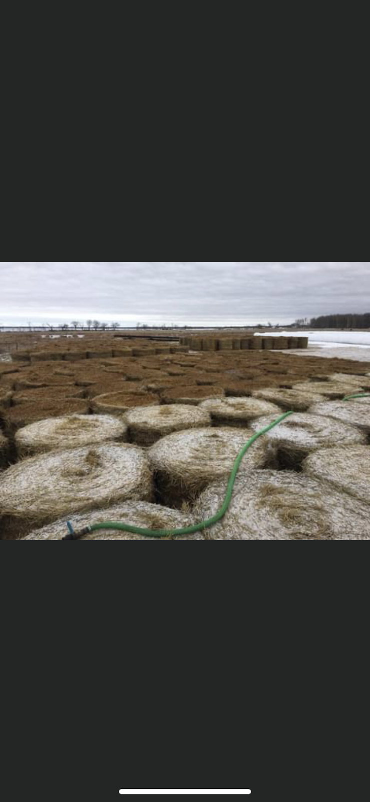 A1 Liquid Feeds | 42112 Mile 85 Rd N, Brokenhead, MB R0E 0C0, Canada | Phone: (204) 792-0035