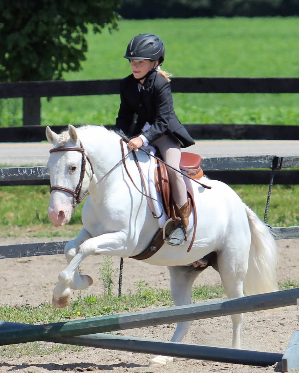 JL Equestrian Centre | 1110 Huron Rd, Petersburg, ON N0B 2H0, Canada | Phone: (226) 808-3518