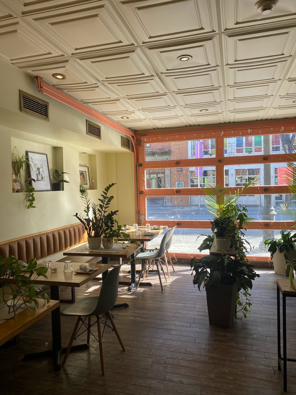 Palme | 1487 Rue Sainte-Catherine E, Montréal, QC H2L 2H9, Canada | Phone: (514) 529-8480