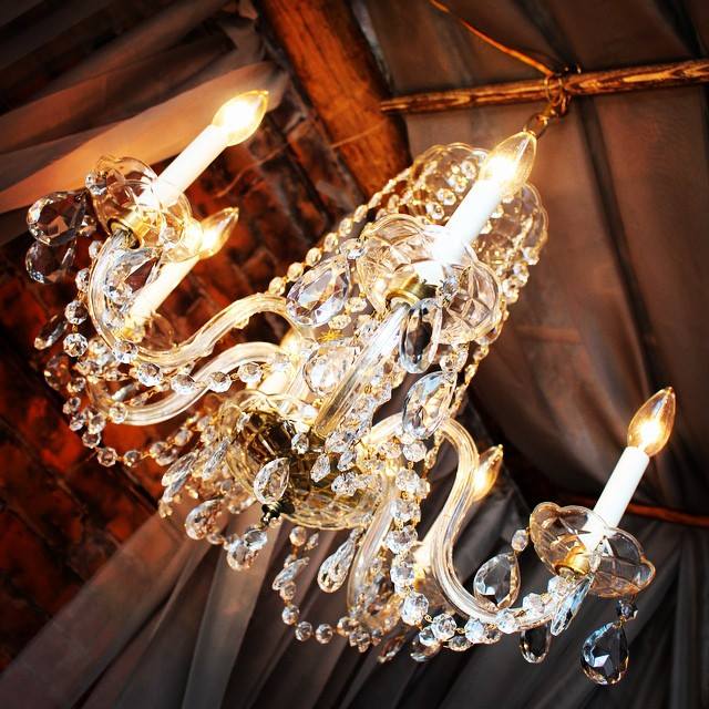 Bird & Bee Vintage | 31 Mechanic St, Paris, ON N3L 1K1, Canada | Phone: (226) 225-7632