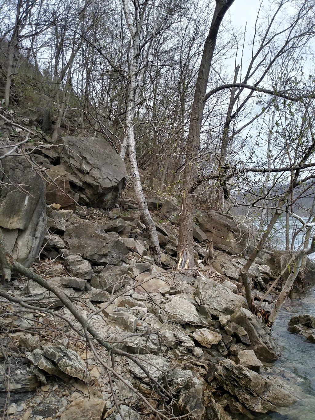 Upper Whirlpool Trails, Niagara River Whirlpool, Canada | 4013, 4009 Niagara Pkwy, Niagara Falls, ON L2E 3E8, Canada | Phone: (877) 642-7275