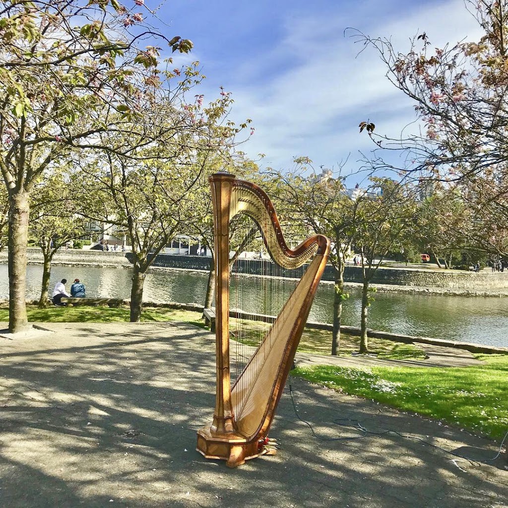 Vancouver Harp | 8091 Corless Pl, Richmond, BC V7C 4X4, Canada | Phone: (604) 773-5510