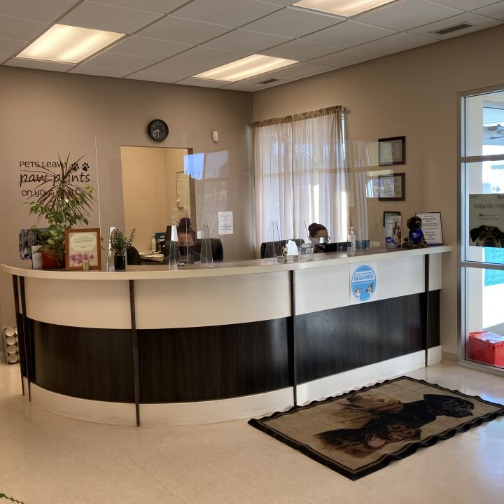 Chinook Pet Clinic | 487 41 St S, Lethbridge, AB T1J 5C8, Canada | Phone: (403) 327-2344