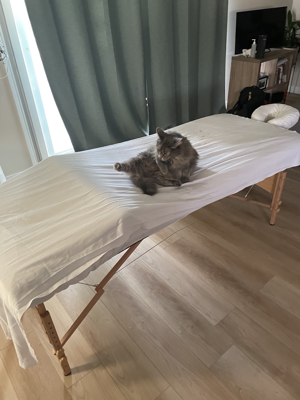 Westty’s Massage | 131 Masters Rise SE, Calgary, AB T3M 2L5, Canada | Phone: (403) 968-9378