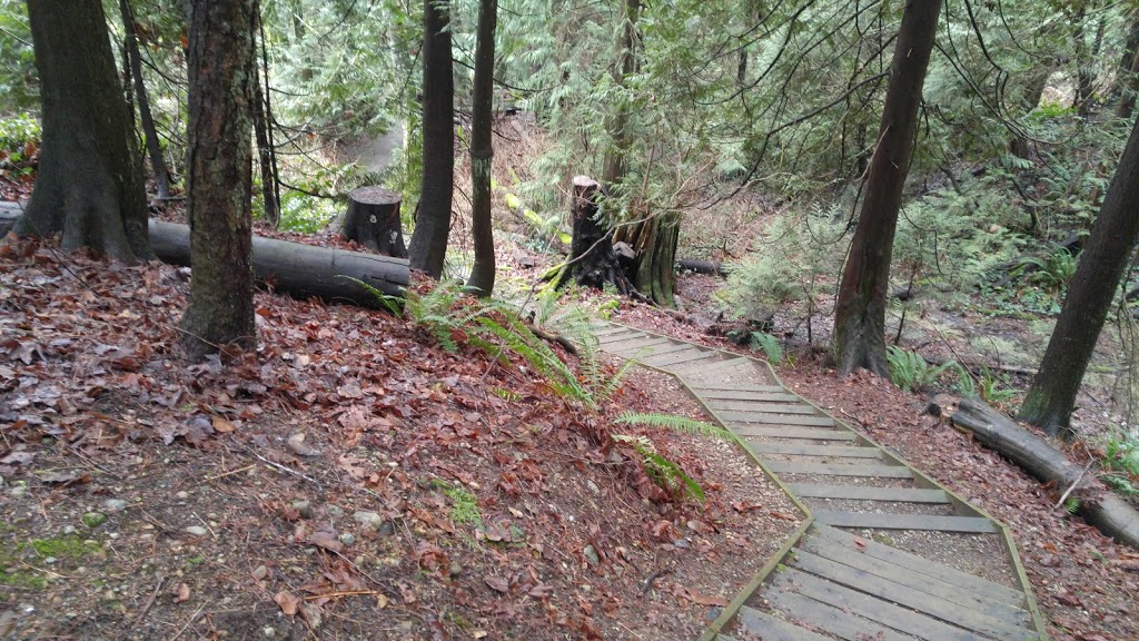 Kaymar Creek Ravine Park | 8050 Kaymar Dr, Burnaby, BC V5J 3N1, Canada