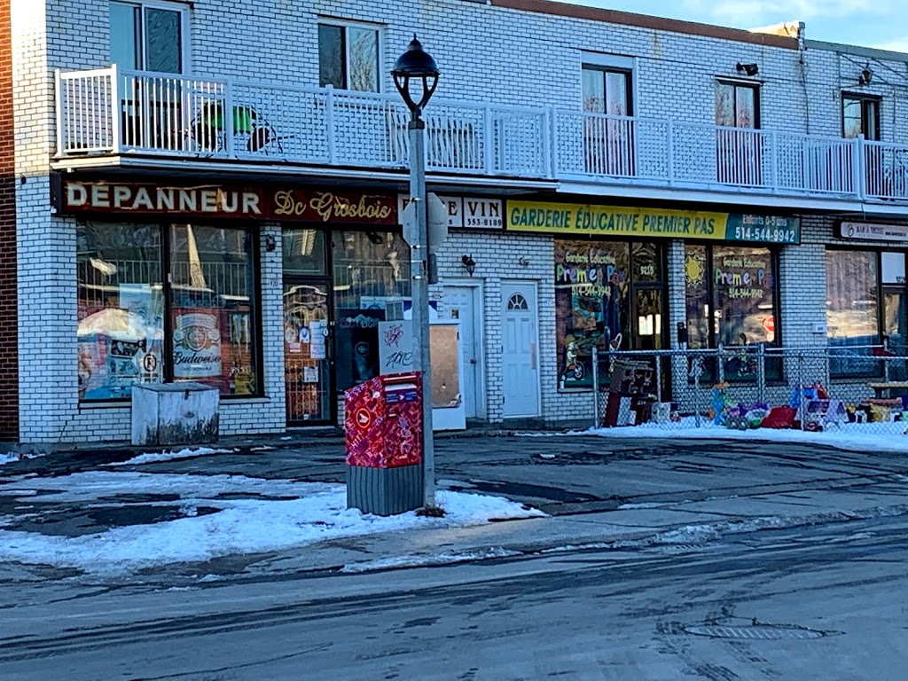 Garderie Educative Premier Pas | 9215 Rue de Grosbois, Montréal, QC H1K 4N6, Canada | Phone: (514) 544-9942