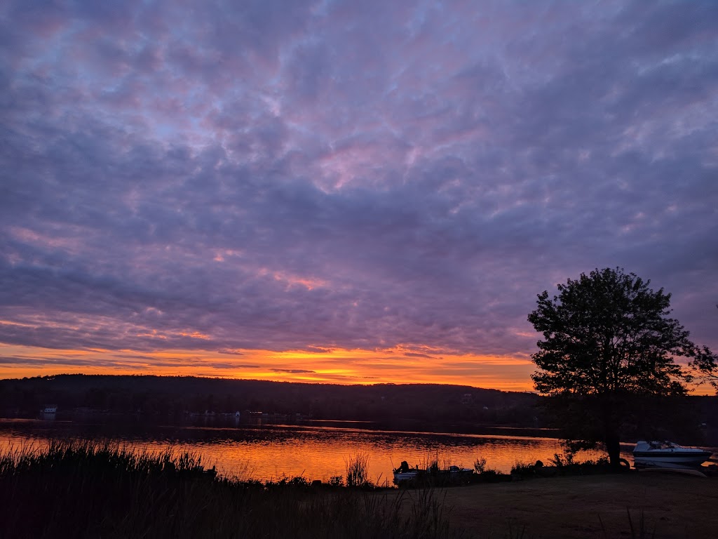Iroquois Trail Camp Site | 484 Frankford Stirling Rd, Frankford, ON K0K 2C0, Canada | Phone: (613) 398-6725