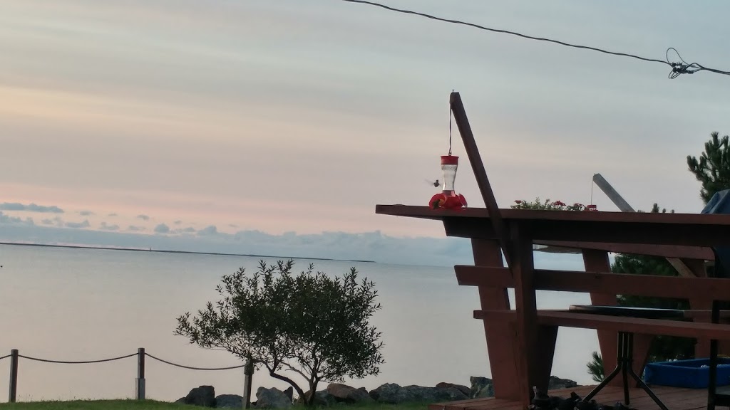 Au Bord de la Baie | 860 NB-475, Baie de Bouctouche, NB E4S 4P8, Canada | Phone: (506) 866-4493