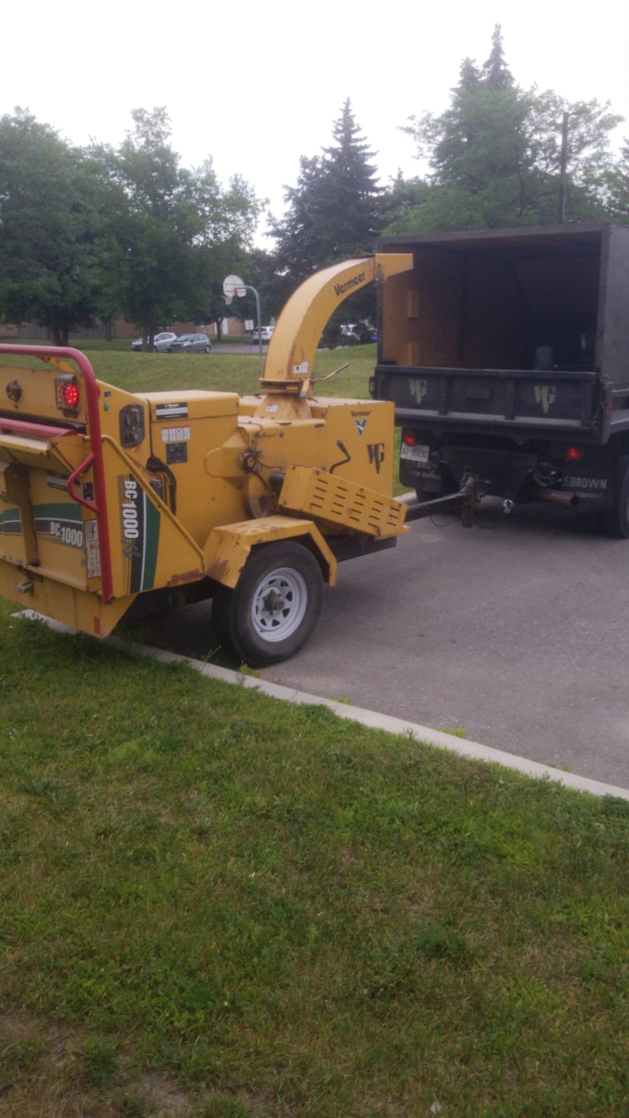 Tree 33 | 120 White Pine Crescent, Pickering, ON L1V 6S4, Canada | Phone: (647) 982-8733