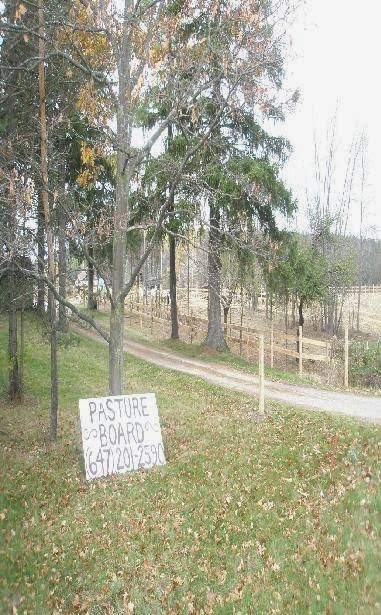 On the Forest Boarding | 17299 Kennedy Rd, Cedar Valley, ON L0G 1E0, Canada | Phone: (647) 836-0459