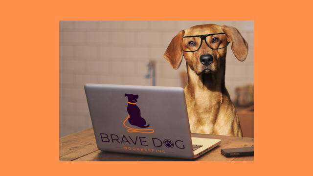 Brave Dog Bookkeeping | 11883 250 St, Maple Ridge, BC V4R 2W8, Canada | Phone: (778) 668-9702