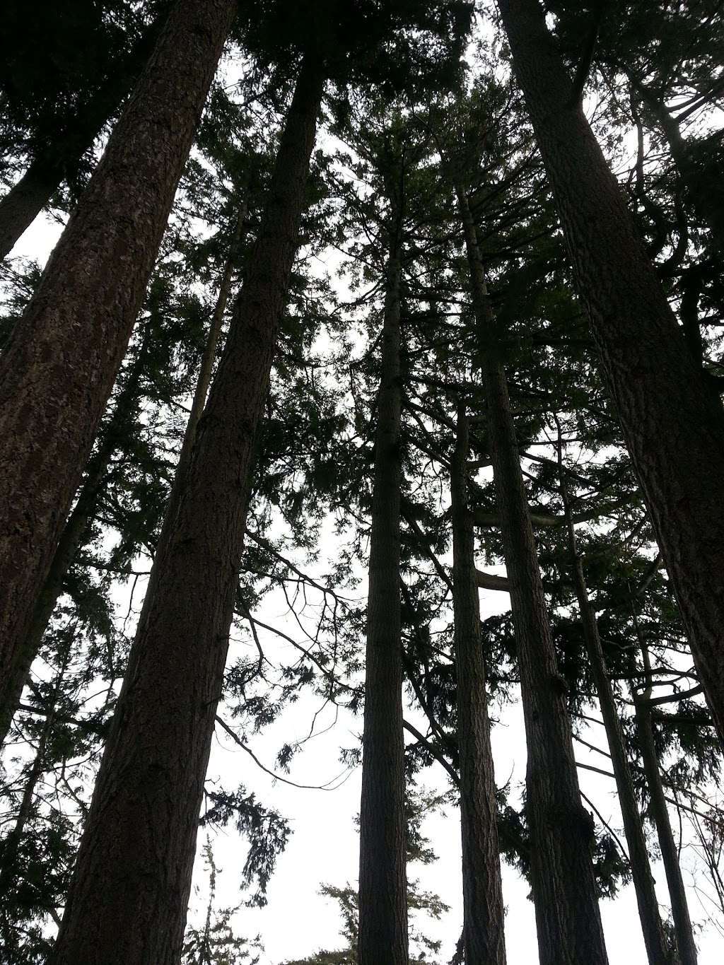 Sea Ridge Park | Sea Ridge Ln, Victoria, BC V8Y 2B3, Canada