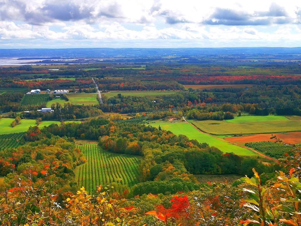 Take Root Marketing | 355 Bligh Rd, Waterville, NS B0P 1V0, Canada | Phone: (902) 680-6671