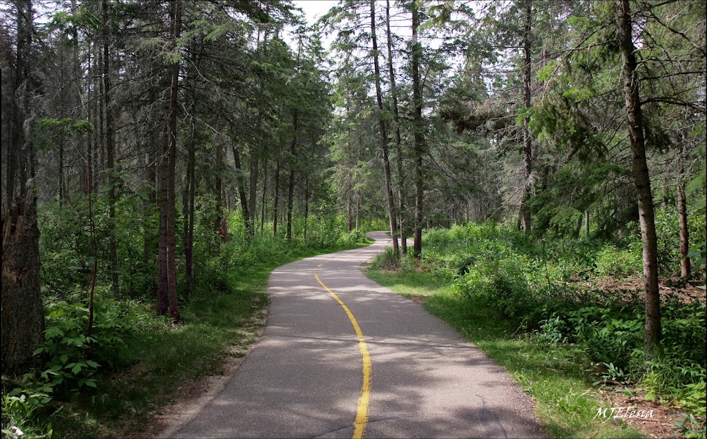 Kiwanis Picnic Park / Waskasoo | 4500 Fountain Dr, Red Deer, AB T4N 6W8, Canada | Phone: (403) 309-8411