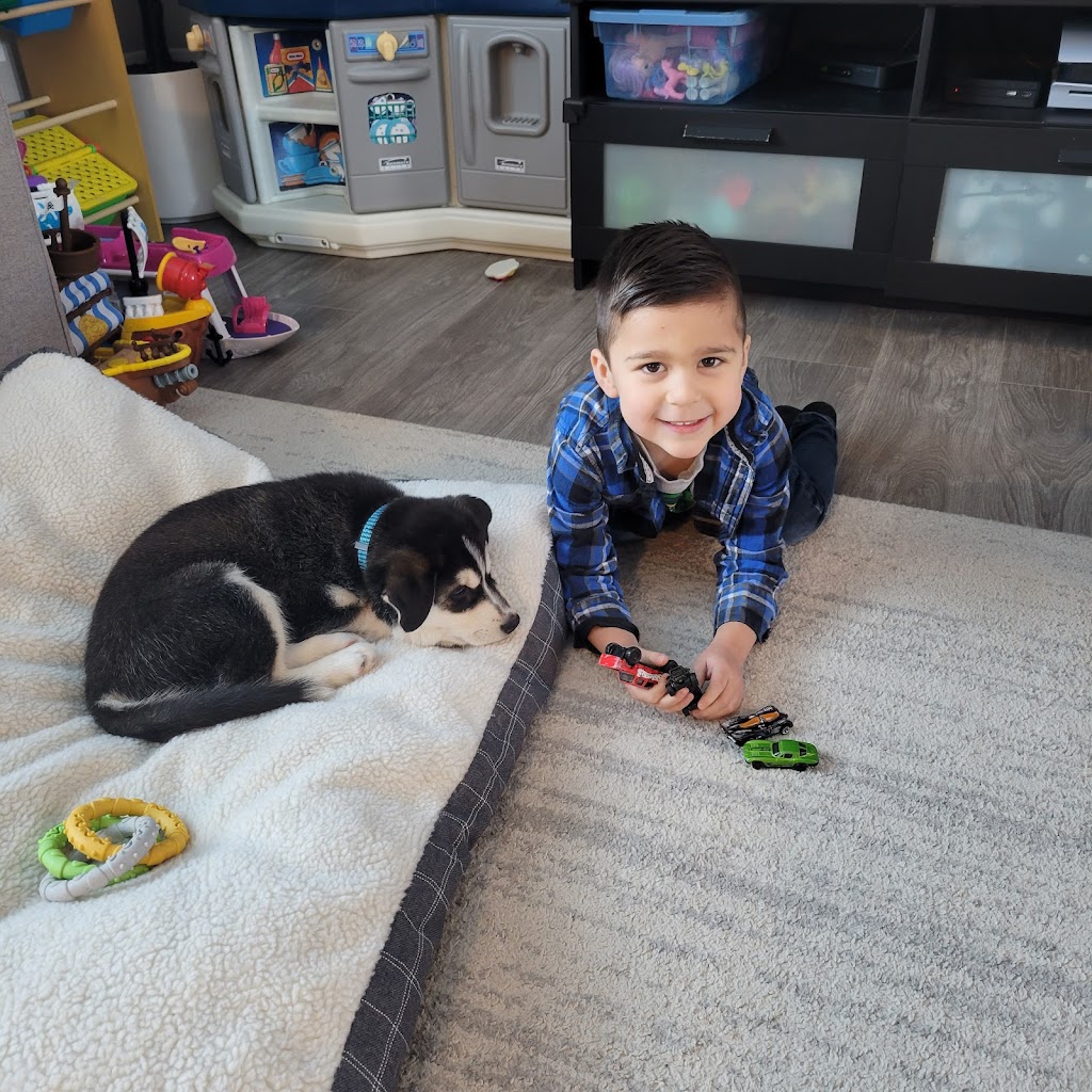 Willow Family Daycare | 635 Willow St, Hope, BC V0X 1L0, Canada | Phone: (604) 869-6257