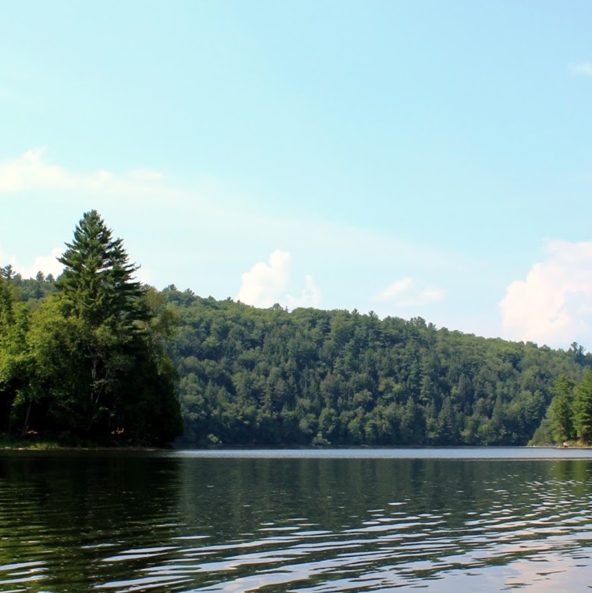 Camping La Pinède | 1735 Rue de la Pinède, Chénéville, QC J0V 1E0, Canada | Phone: (819) 428-3264