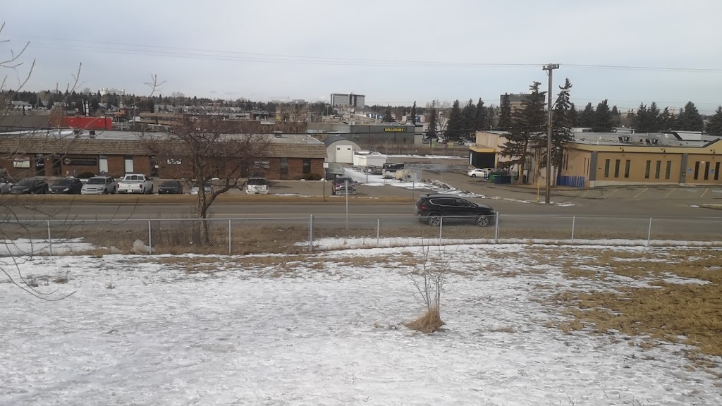 Fairview Off Leash Dog Area | 7532-7800 Flint Rd SE, Calgary, AB T2H 1G3, Canada | Phone: (403) 268-5861