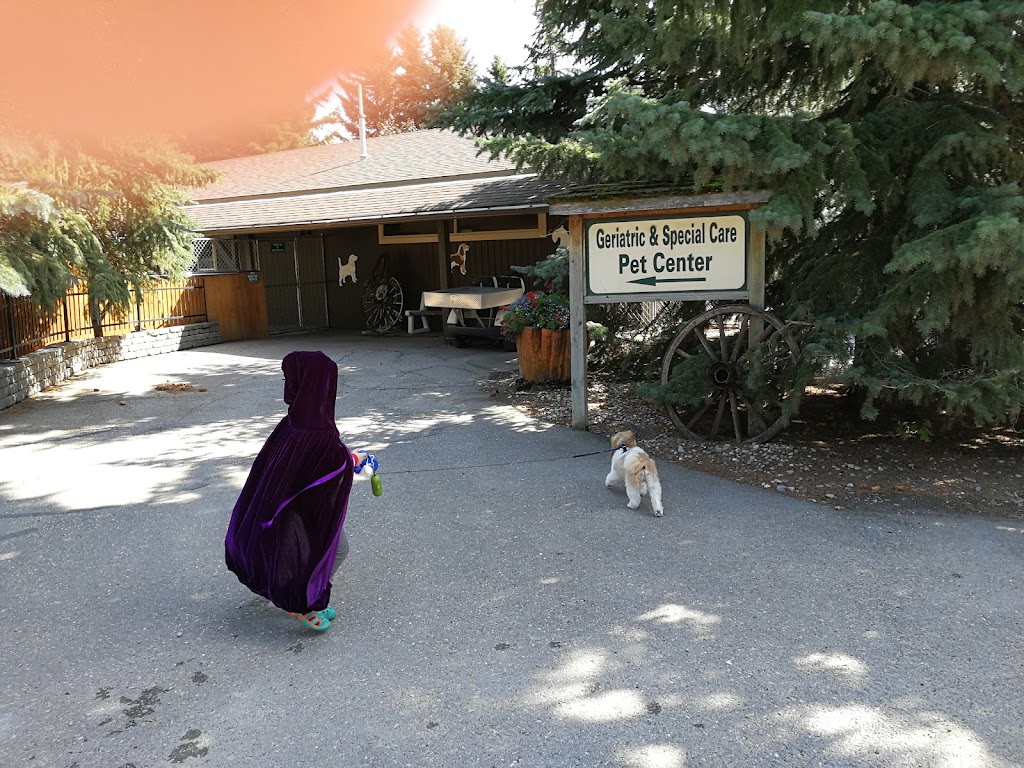 Country Club Pet Resort | 282063 Township Rd 224A, Alberta T1X 0J2, Canada | Phone: (403) 936-5685