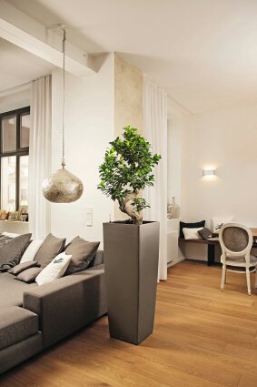 Office Plants Toronto | 1300 York Mills Rd, North York, ON M3A 1Z3, Canada | Phone: (416) 856-6310