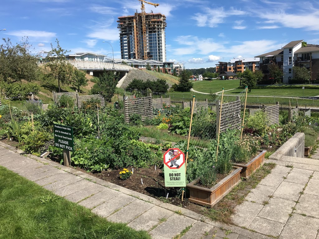 Port Royal Community Garden | 86 Star Crescent, New Westminster, BC V3M 6X5, Canada | Phone: (604) 521-3711