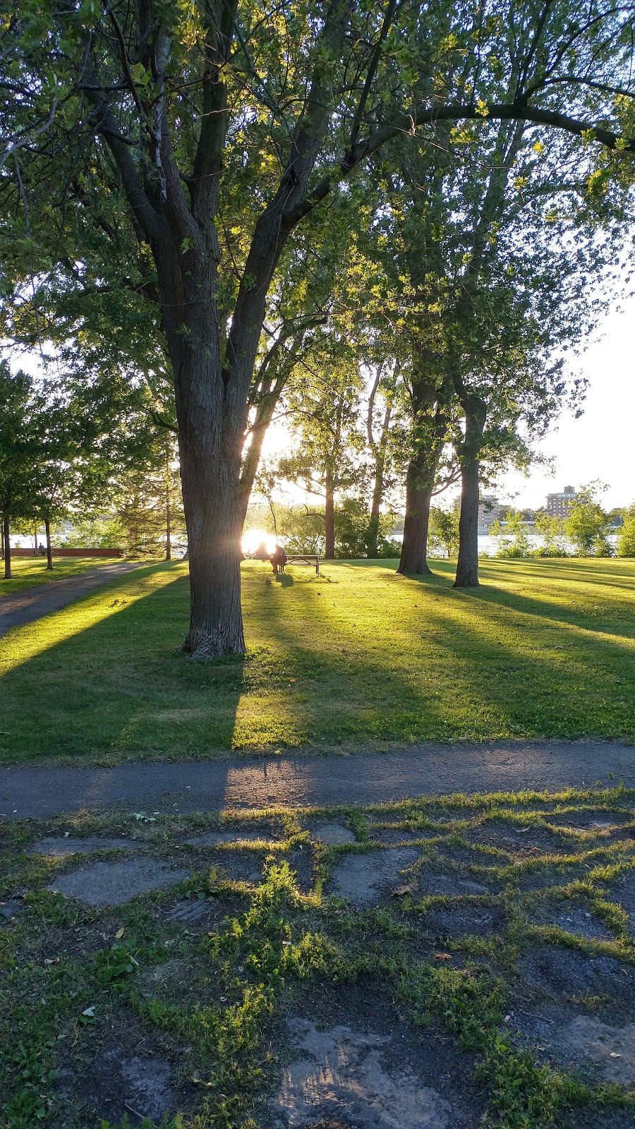 Parc Nicolas-Viel | Montreal, QC H3L 1H9, Canada | Phone: (514) 872-1140