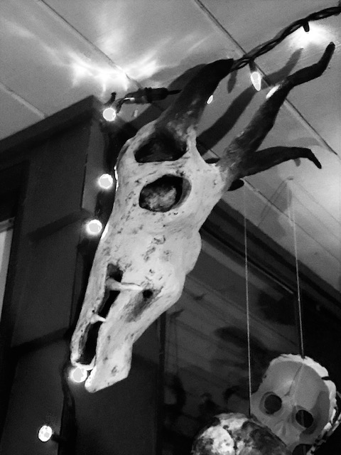 Mad Props Paper Mache | 1960 Rufus Dr #24, North Vancouver, BC V7J 3L7, Canada | Phone: (604) 817-1032