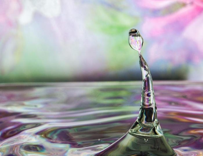 Snaps Drops Inc. Water Drop Photography | 110 Smiths Point Rd, East Quoddy, NS B0J 2R0, Canada | Phone: (902) 654-2736