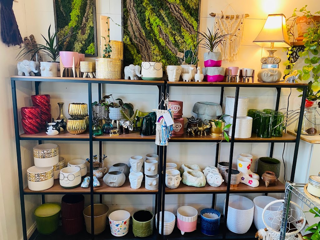 Fayes Wildflowers | 10 Pelham St, Lunenburg, NS B0J 2C0, Canada | Phone: (902) 634-8421
