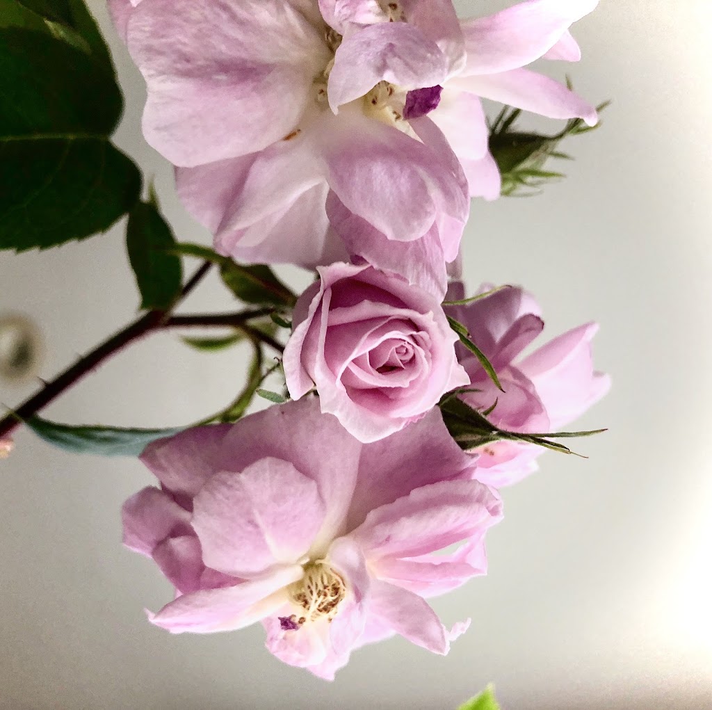 Fin en Fleurs | 2955 Fraser St, Vancouver, BC V5T 3W2, Canada | Phone: (604) 404-8897
