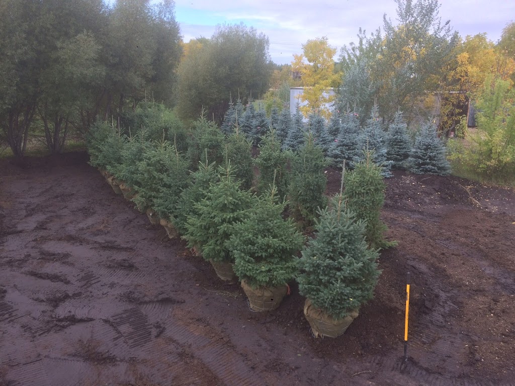 Waynes Tree Moving Inc | 73025 Kirkness Rd, Selkirk, MB R1A 2A8, Canada | Phone: (204) 757-2996