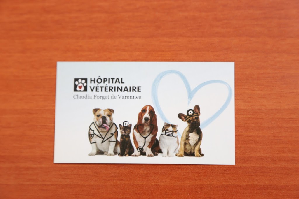 Hôpital Vétérinaire de Varennes | 81 Rue de la Rivière, Varennes, QC J3X 1P7, Canada | Phone: (450) 652-5252