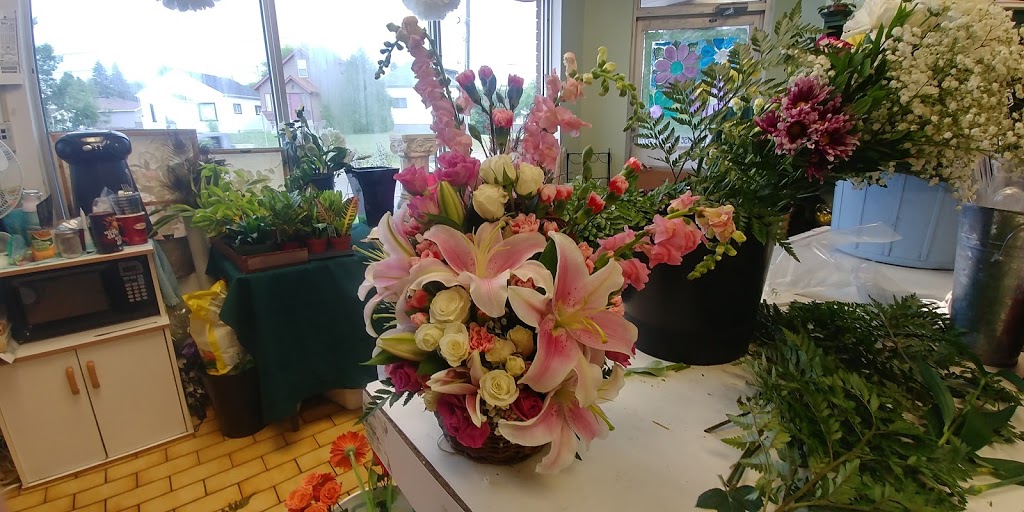 Grower Direct- Thunder Bay | 777 Red River Rd, Thunder Bay, ON P7B 1J7, Canada | Phone: (807) 475-7673