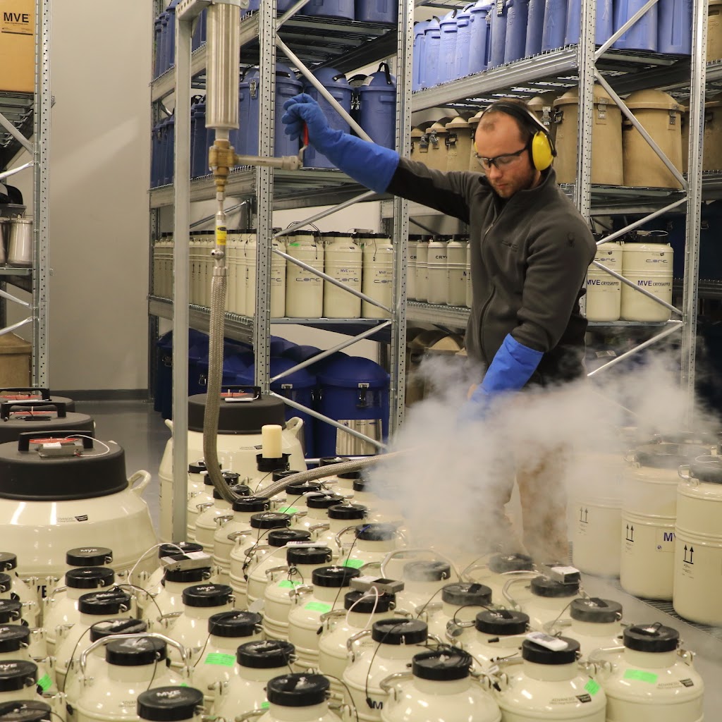 Core Cryolab Inc. | 216 Britannia Rd E, Mississauga, ON L4Z 1S6, Canada | Phone: (416) 260-2673