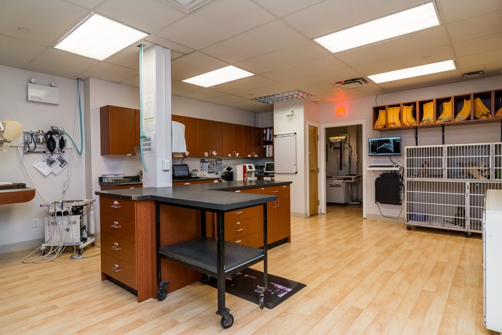 Brookswood Veterinary Hospital | 4059 200 St, Langley City, BC V3A 1K8, Canada | Phone: (604) 534-4174