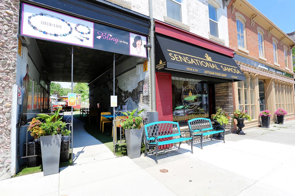 Sensational Samosa | 51 King St W, Dundas, ON L9H 1T5, Canada | Phone: (905) 628-2717