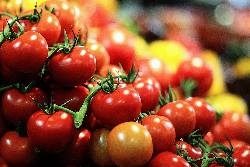 Gull Valley Greenhouses | 40120 Range Rd 283, Alberta T4M 0X7, Canada | Phone: (403) 885-2242
